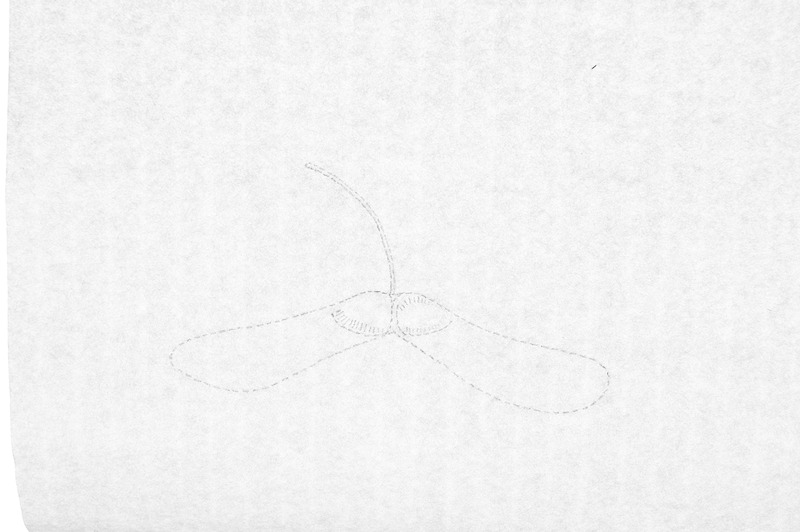 Harilik vaher / seeriast Tikitud botaanika / grafiitpliiats, jaapani paber / 35x35cm / 2011