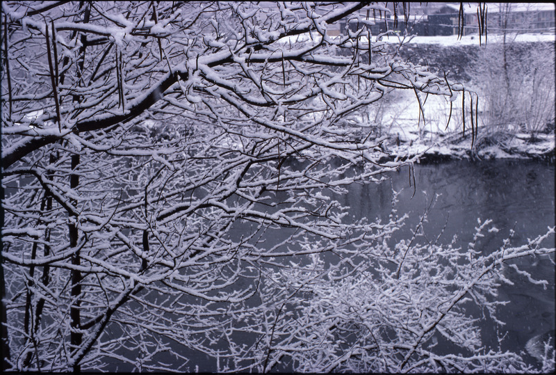 &quot;snowing&quot; (Springfield, Massachusetts, March 1978)