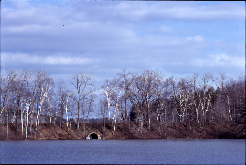 &quot;trees&quot; (Springfield, Massachusetts, Winter 1979)