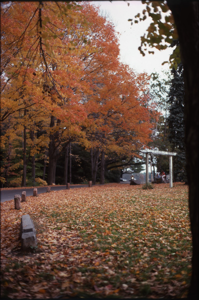 &quot;Forest Park&quot; (Springfield, Massachusetts, Fall 1977)