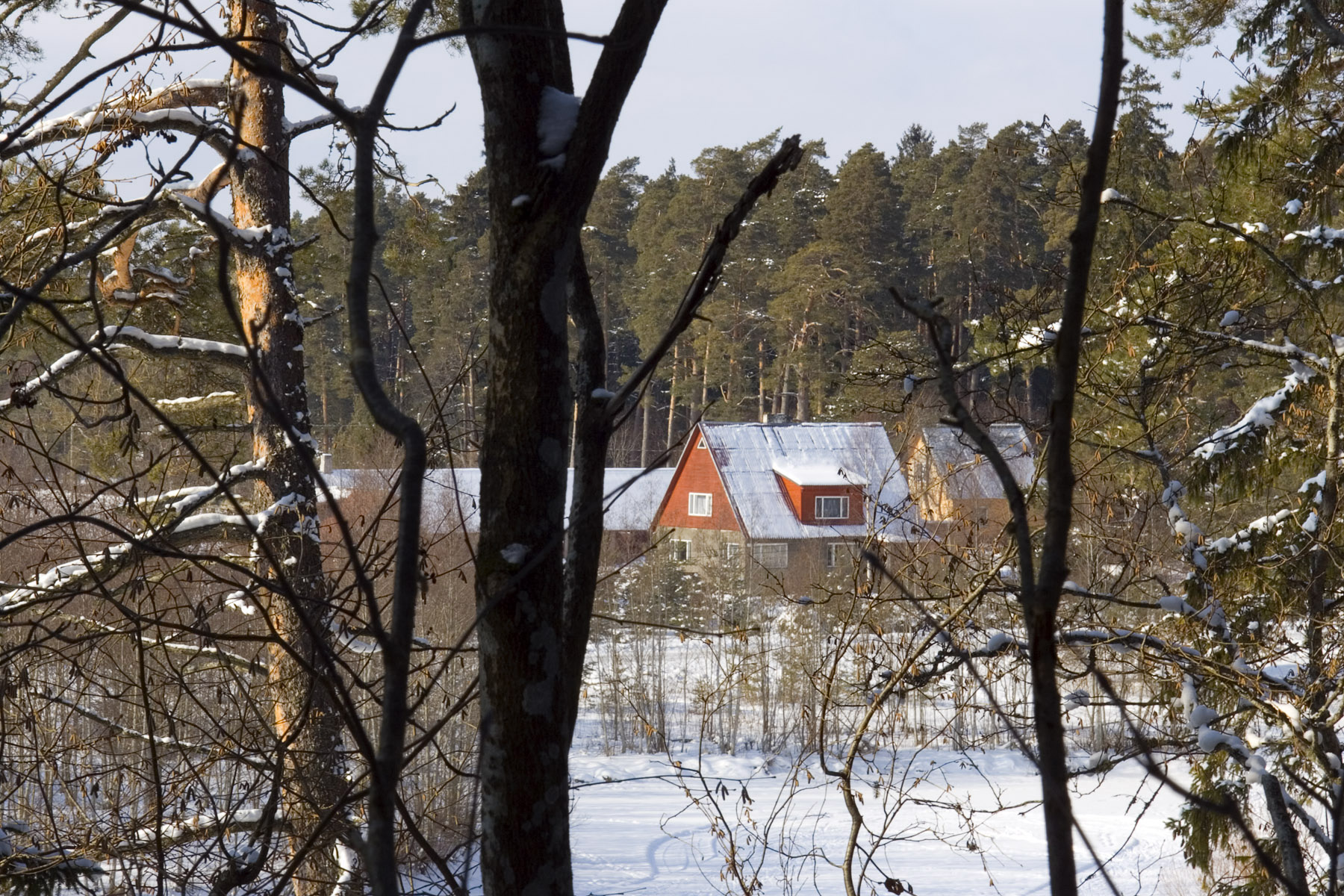 Roela enne ja nüüd