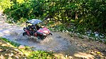 A buggy driving through a pool of water