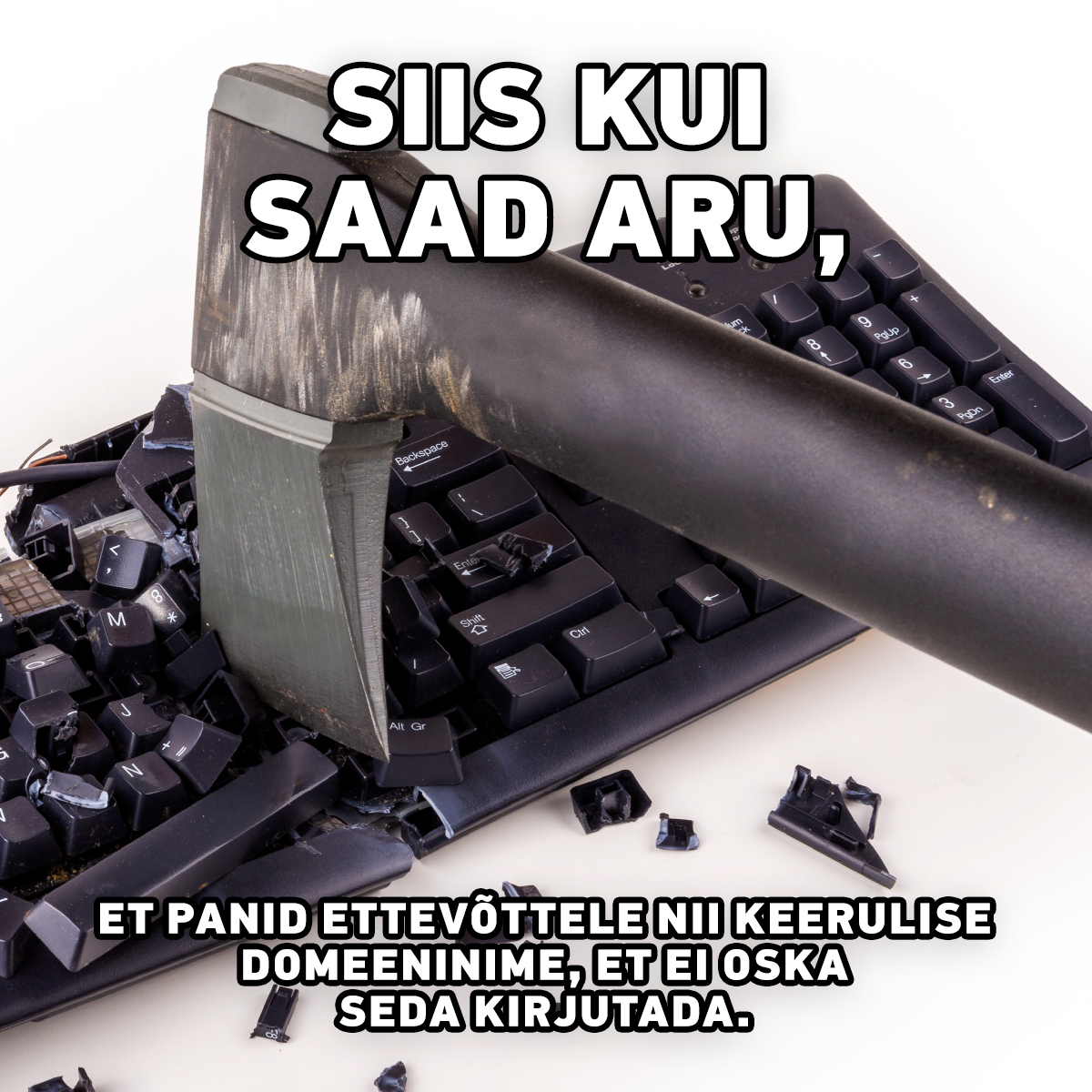 .ee domeenioksjonil oli 303 domeeni