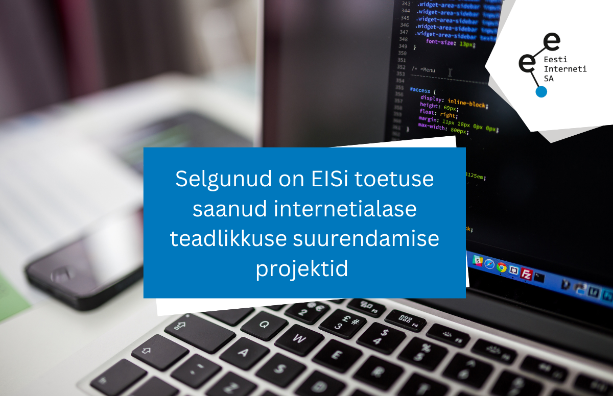 Selgunud on tänavused EISi toetuse saanud internetialase teadlikkuse suurendamise projektid 