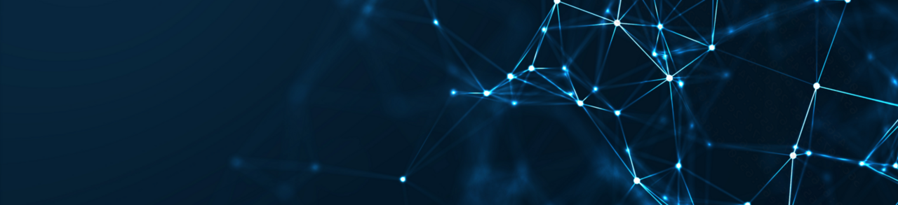 Annual report of the .EE domain
