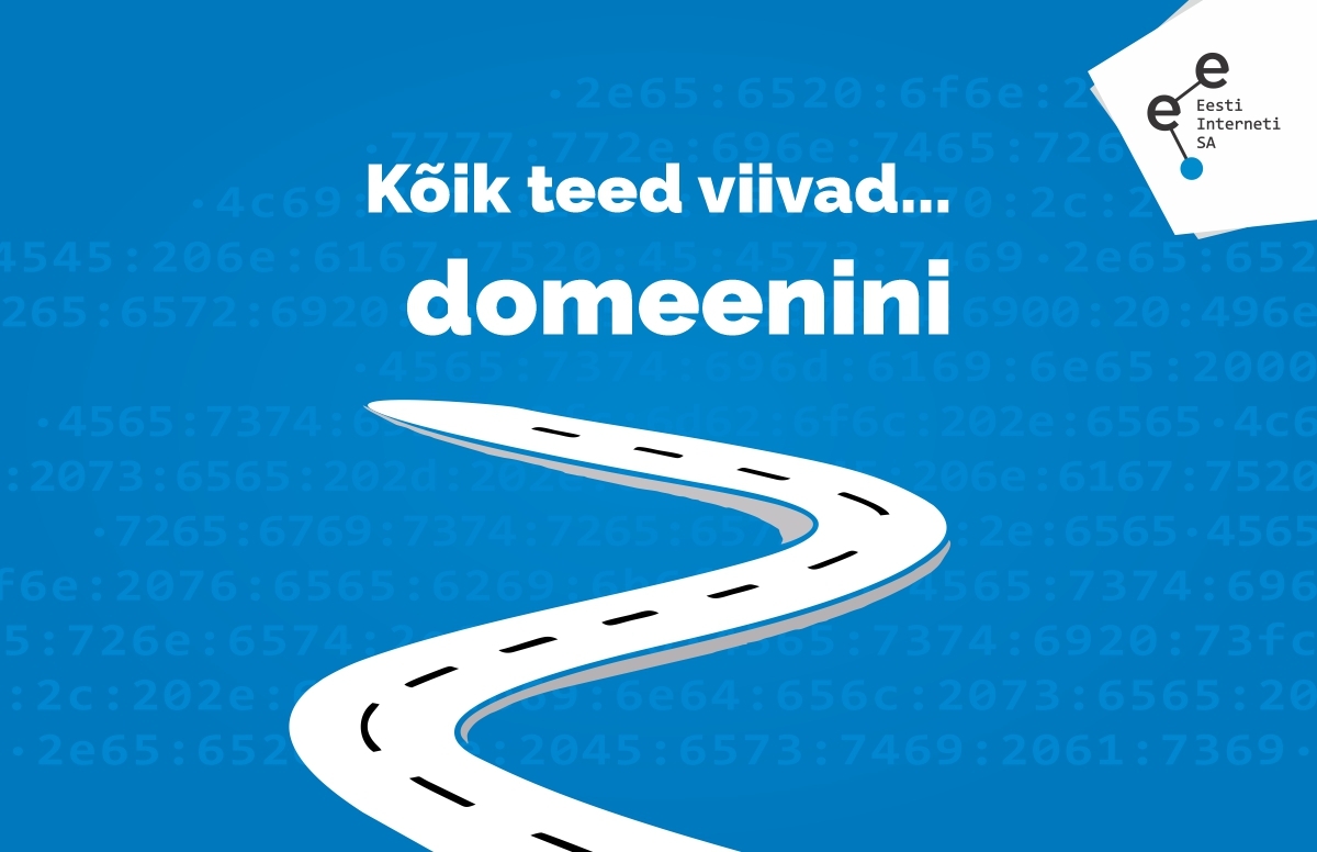 Mida aeg edasi, seda rohkem viivad kõik teed... domeenini 