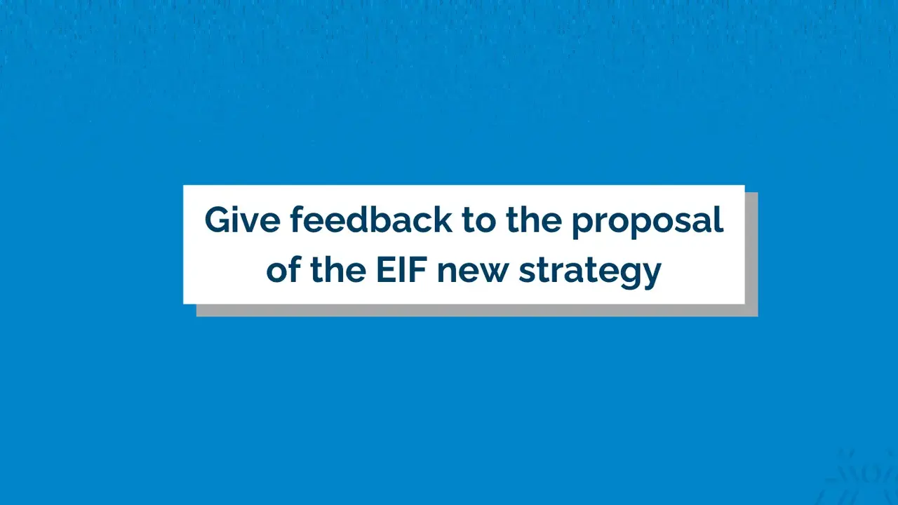Give feedback to the proposal of the EIF new strategy